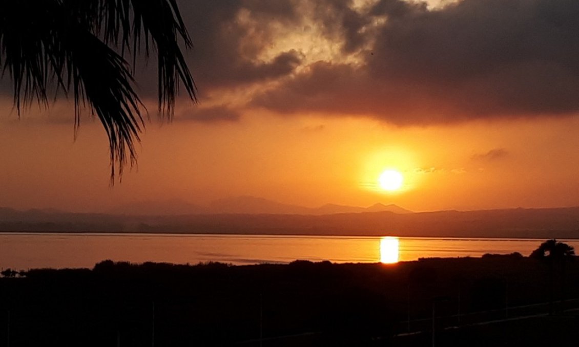Wiederverkauf - Villa -
Torrevieja - Costa Blanca