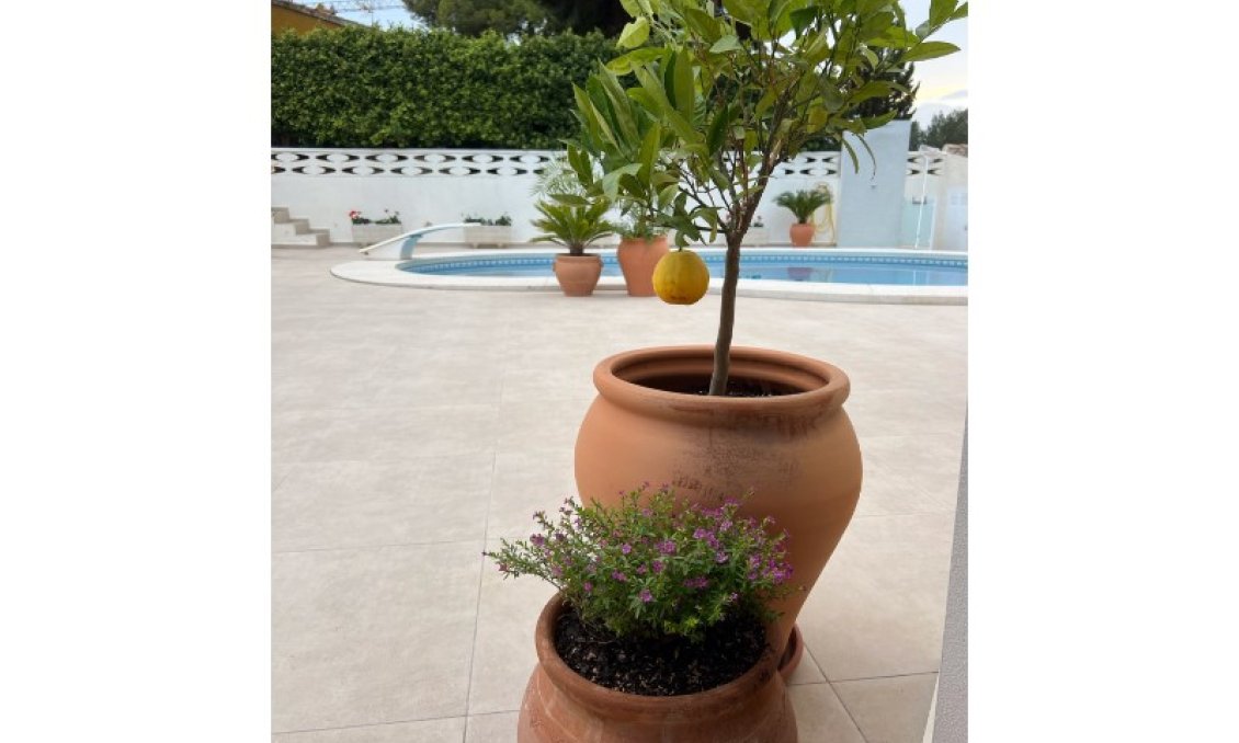 Segunda mano - Villa -
Alfas del Pí - Costa Blanca