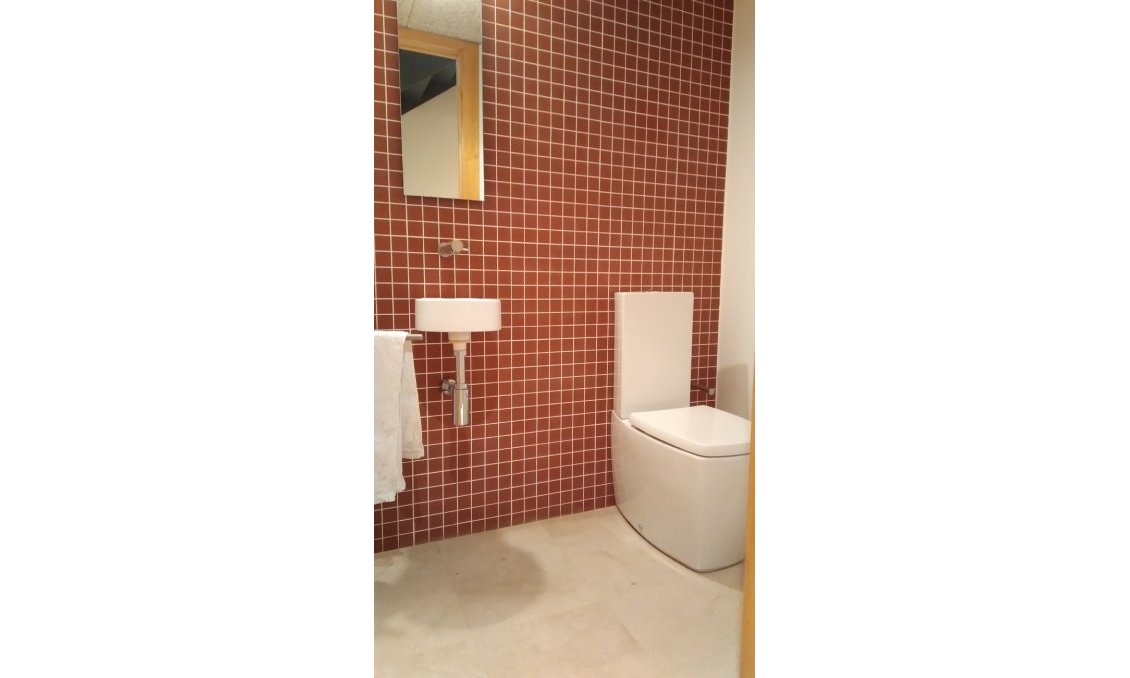 Segunda mano - Duplex -
Almoradí - Costa Blanca