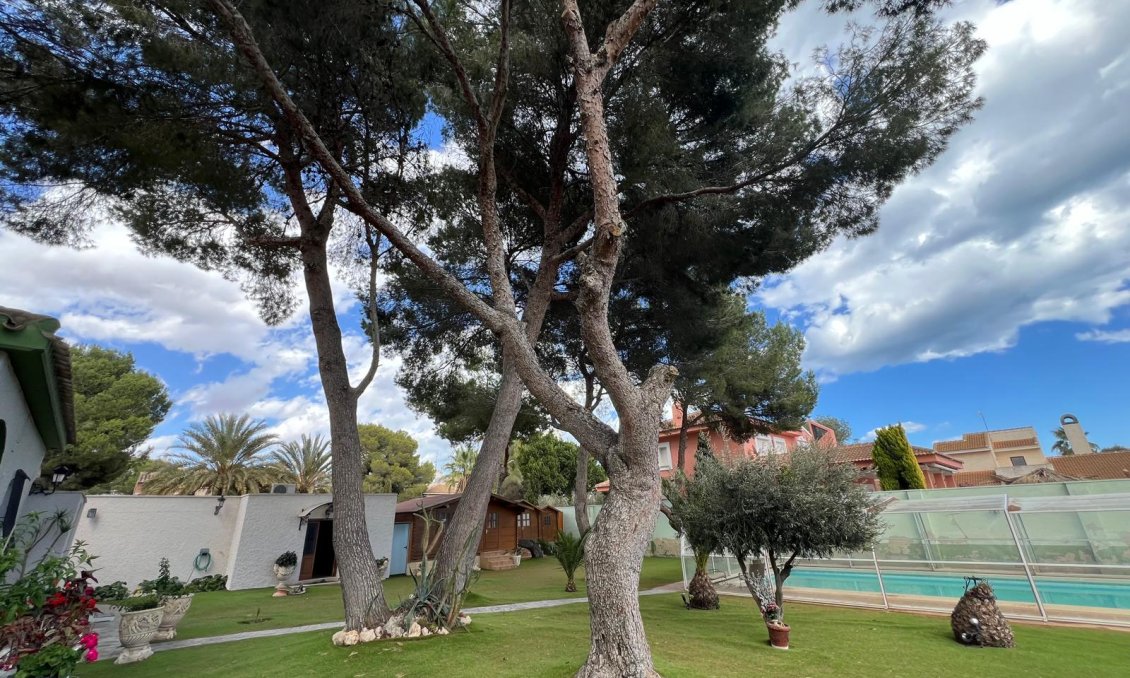 Segunda mano - Villa -
Campoamor - Costa Blanca