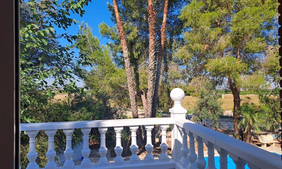 Segunda mano - Villa -
Orihuela - Los Huertos