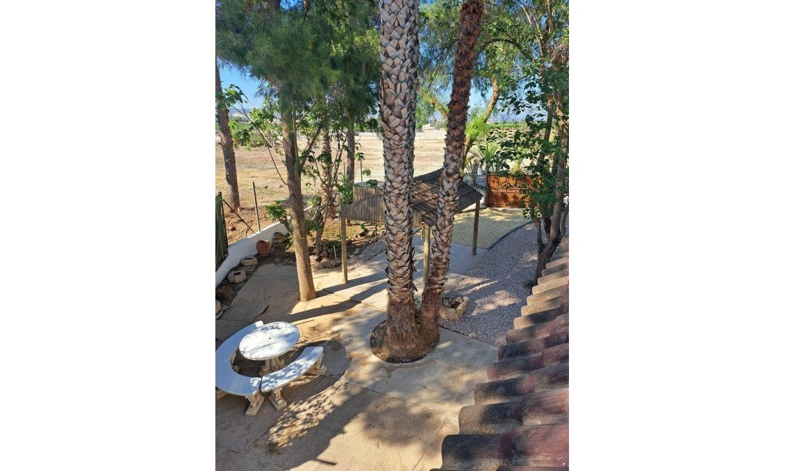 Segunda mano - Villa -
Orihuela - Los Huertos