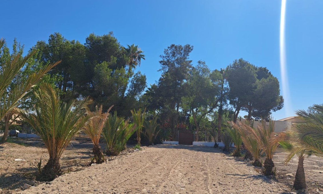 Segunda mano - Villa -
Orihuela - Los Huertos