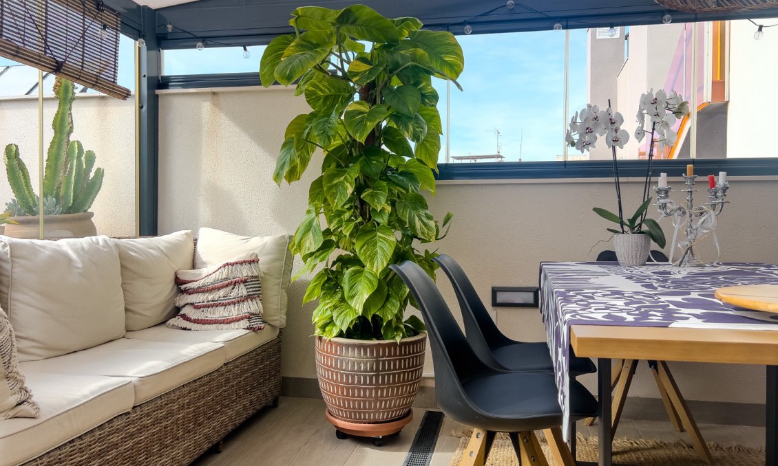 Segunda mano - Apartamento -
Torrevieja - Costa Blanca