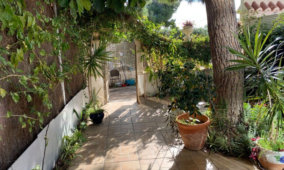 Segunda mano - Duplex -
La Zenia - Costa Blanca