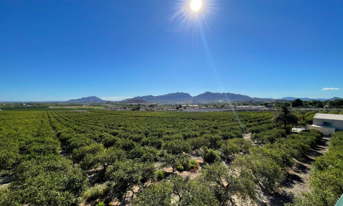 Resale - Villa -
Murcia - Inland