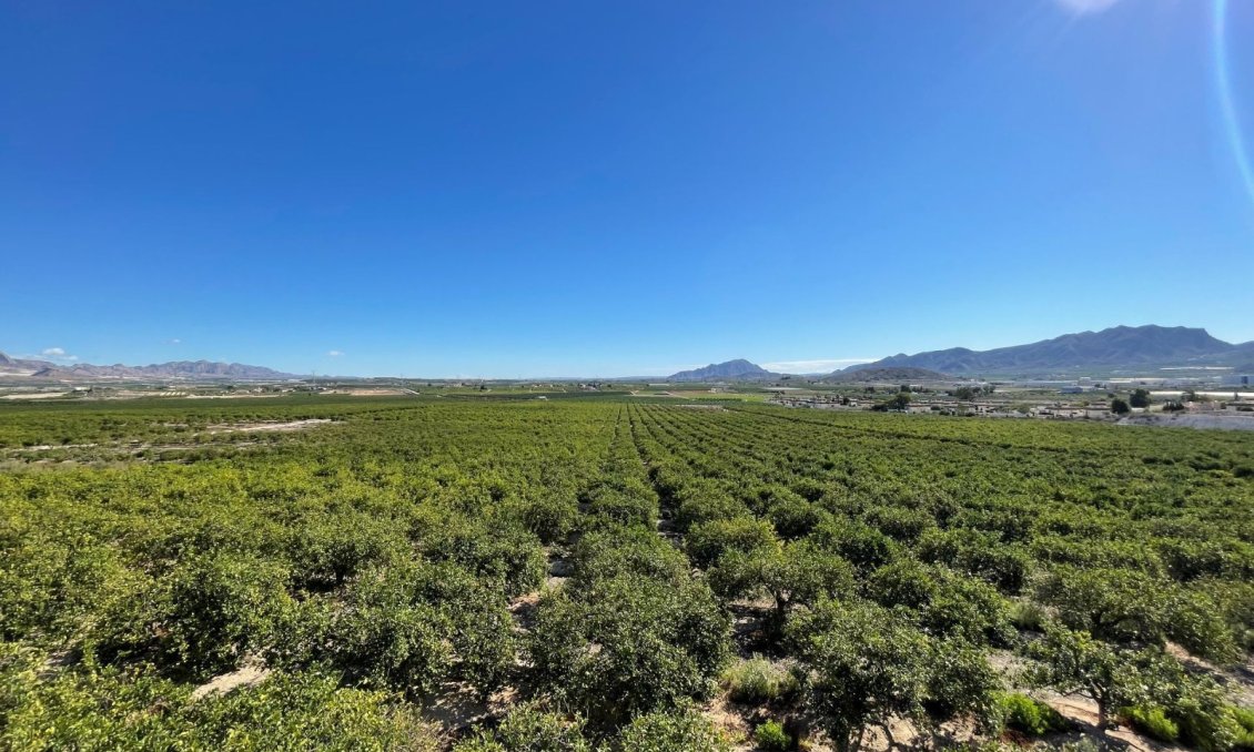 Resale - Villa -
Murcia - Inland