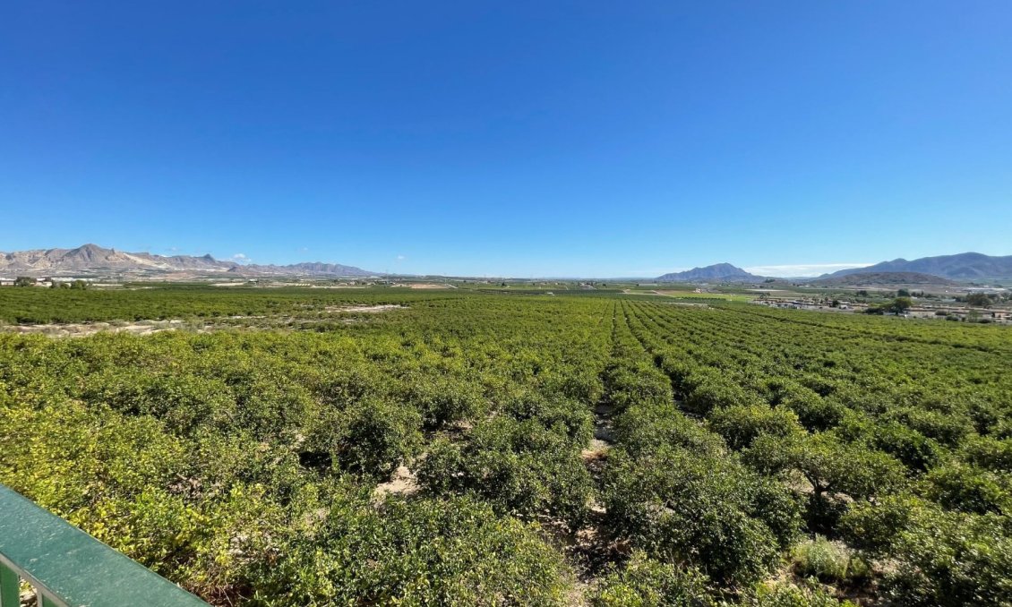 Resale - Villa -
Murcia - Inland