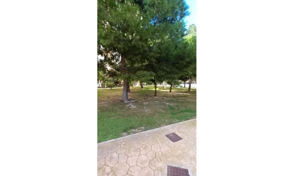 Wiederverkauf - Wohnung -
Orihuela Costa - Campoamor