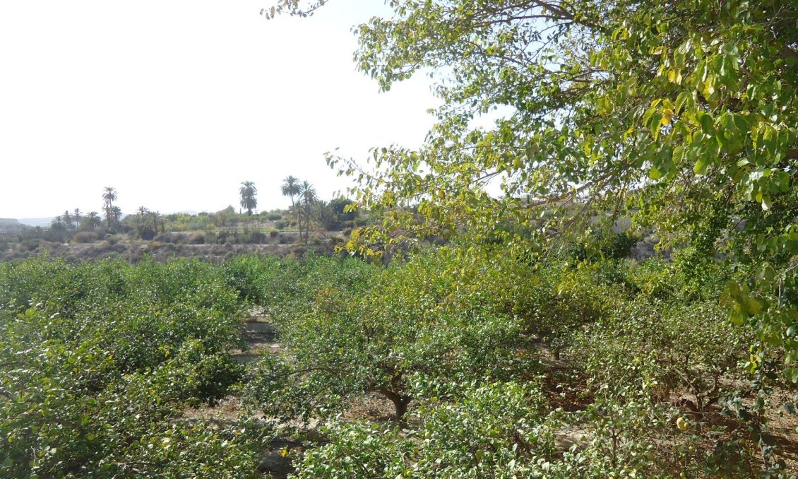 Segunda mano - Villa -
Abanilla - Inland