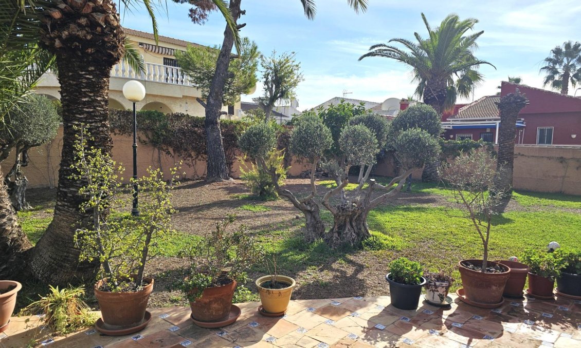Segunda mano - Villa -
Torrevieja - San Luis