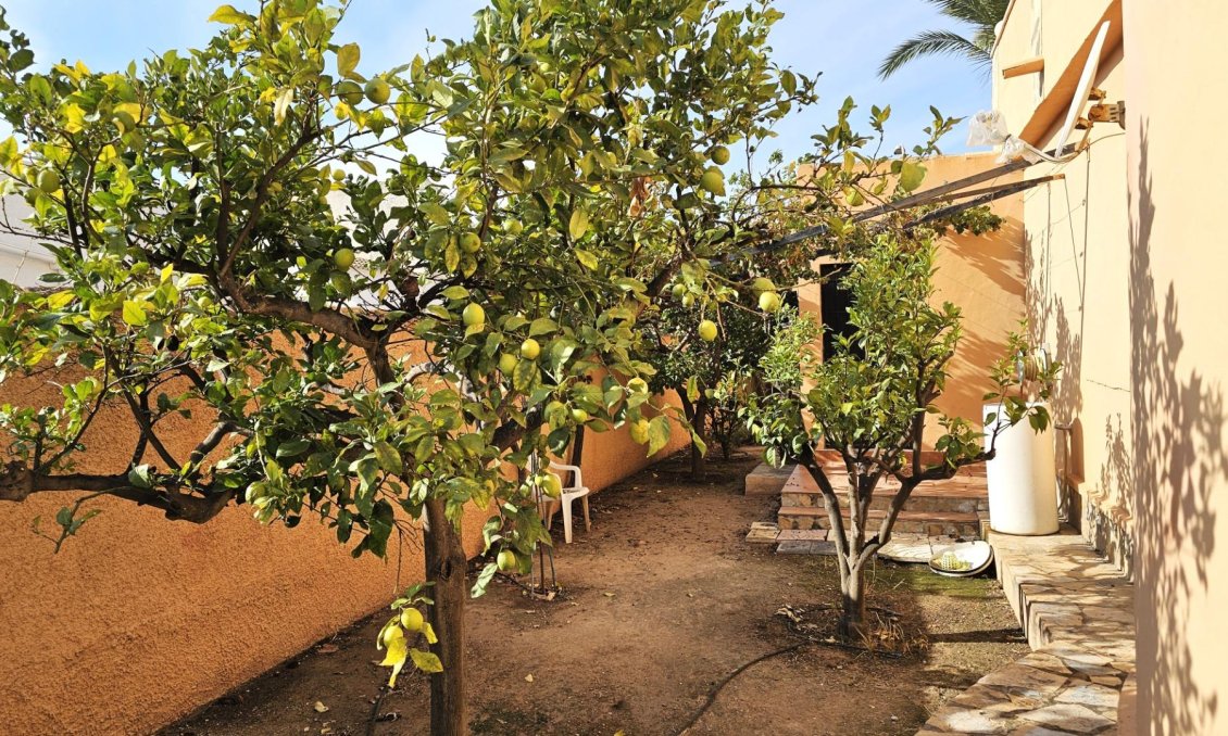 Segunda mano - Villa -
Torrevieja - San Luis