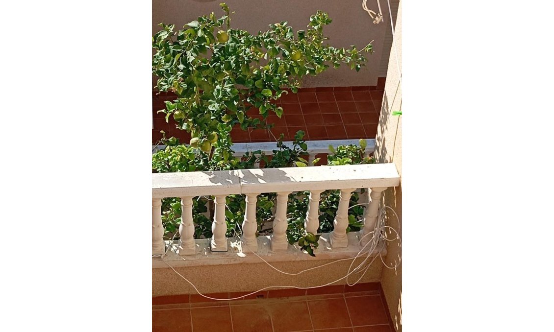Segunda mano - Bungalow -
Orihuela Costa - PAU 26