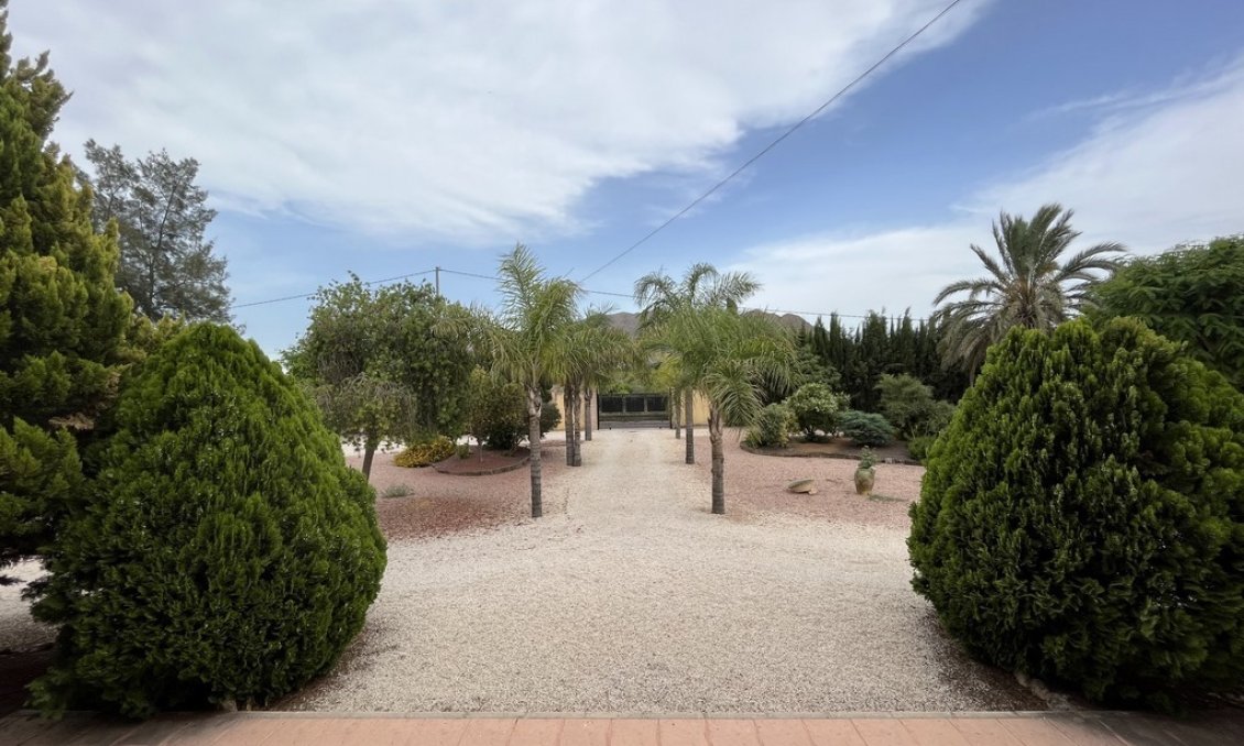 Segunda mano - Villa -
Callosa de Segura - Callosilla