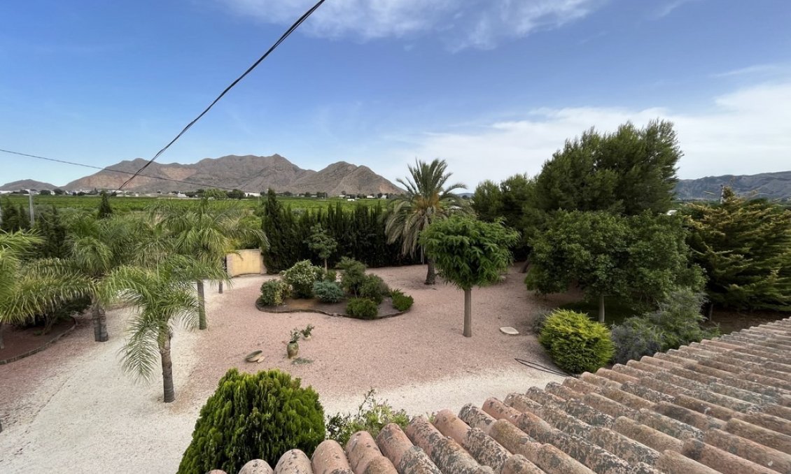 Segunda mano - Villa -
Callosa de Segura - Callosilla