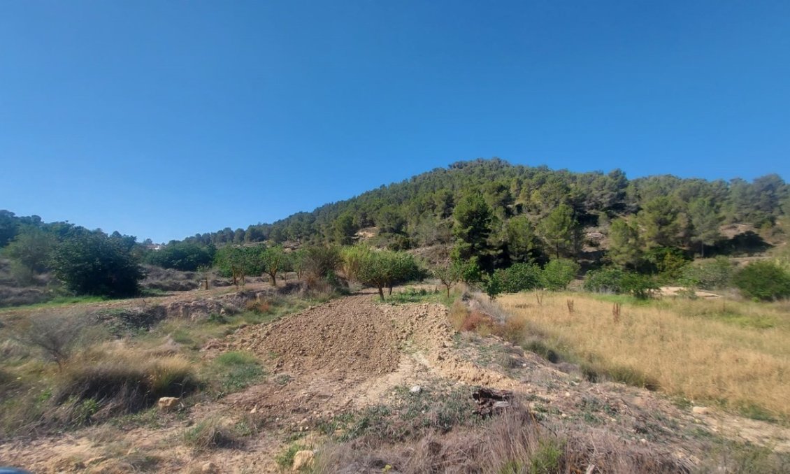 Segunda mano - Villa -
Jumilla - Inland