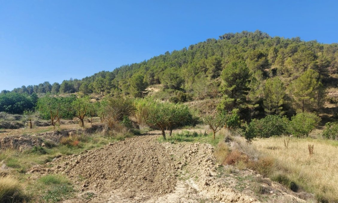 Segunda mano - Villa -
Jumilla - Inland