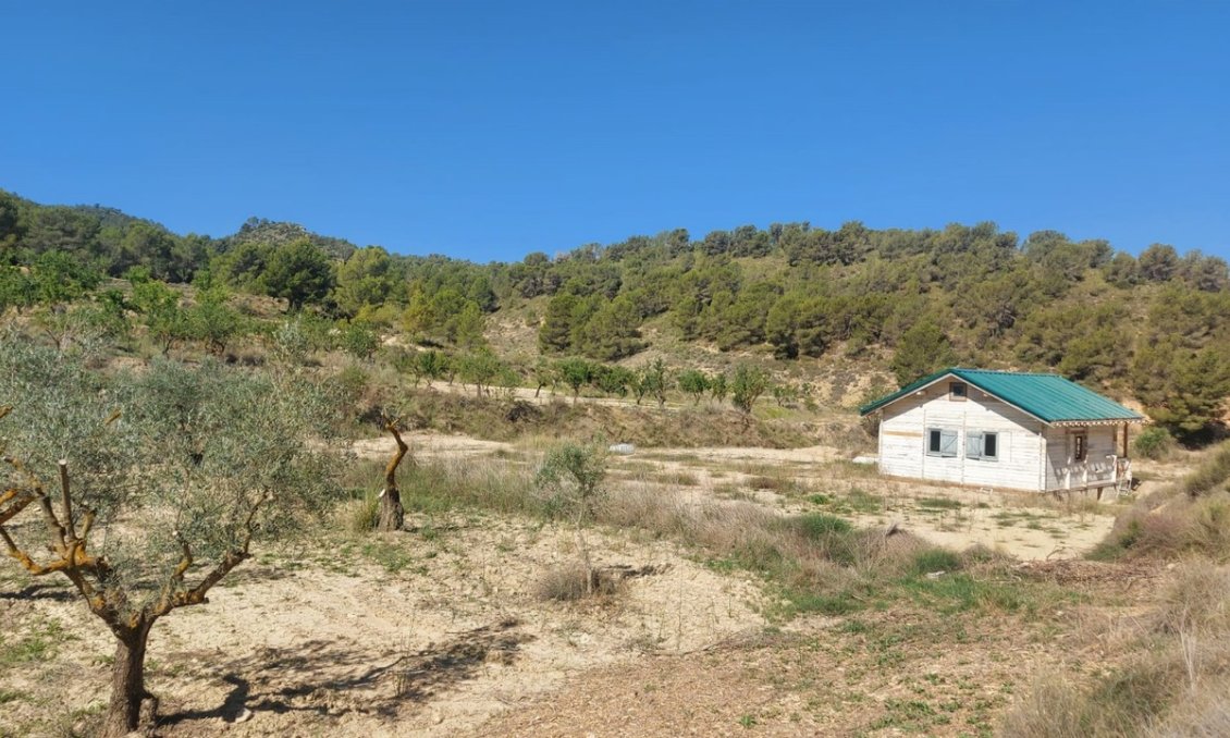 Segunda mano - Villa -
Jumilla - Inland