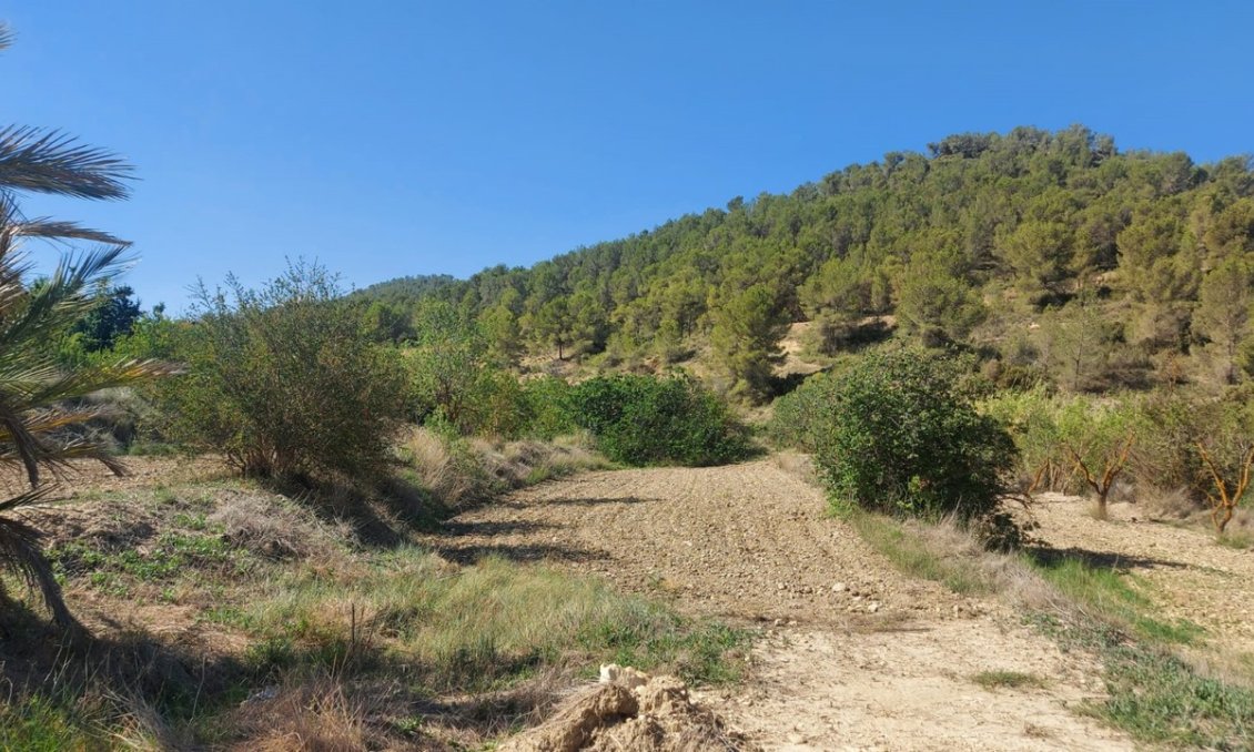 Segunda mano - Villa -
Jumilla - Inland