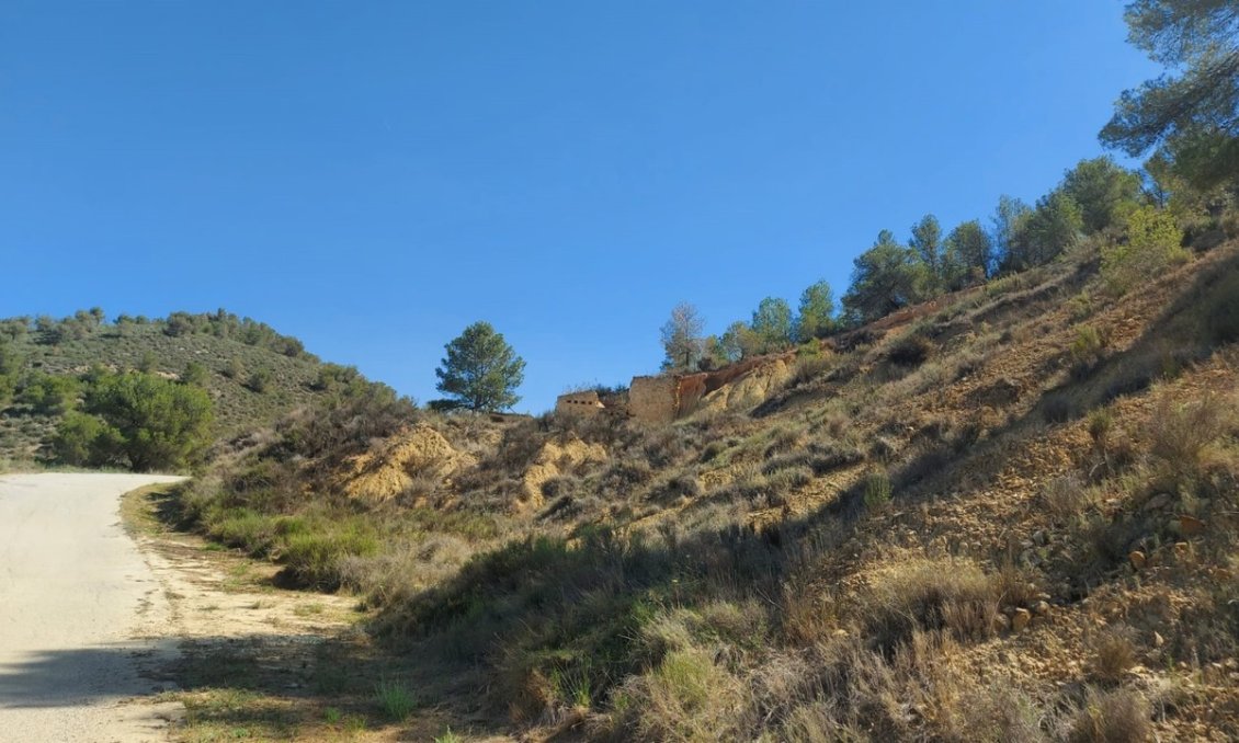 Segunda mano - Villa -
Jumilla - Inland