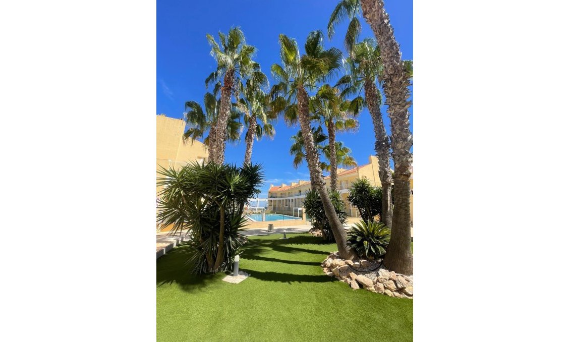 Segunda mano - Bungalow -
Torrevieja - Aguas Nuevas 2