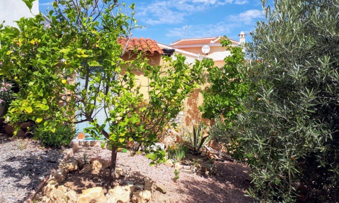 Segunda mano - Villa -
Ciudad Quesada - Costa Blanca