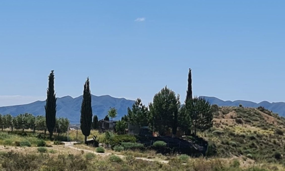 Használt Ingatlanok - Villa -
Murcia - Inland