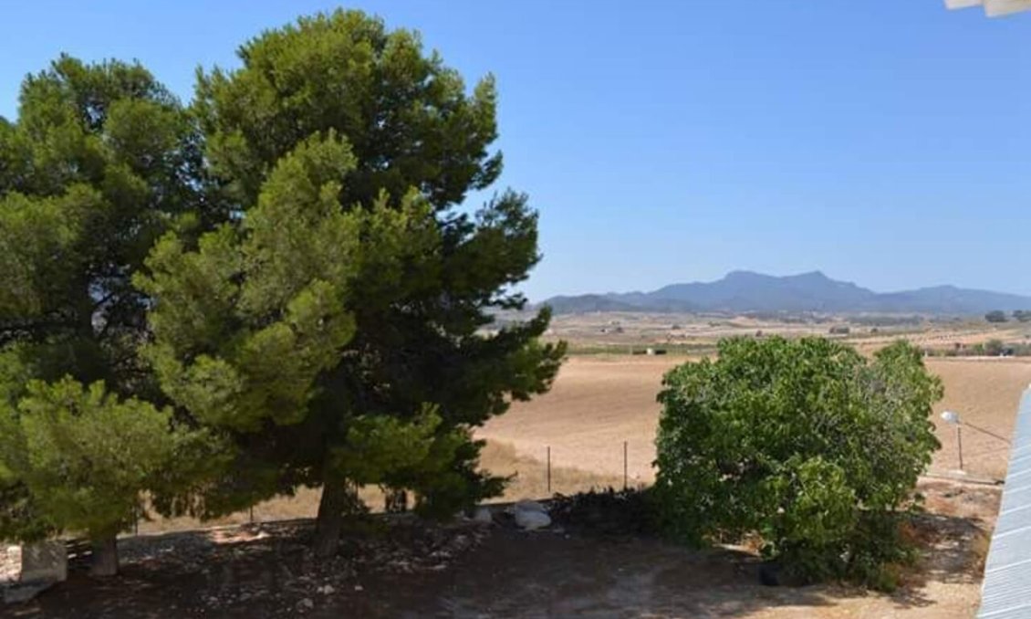 Segunda mano - Town House -
Rodriguillo - Inland