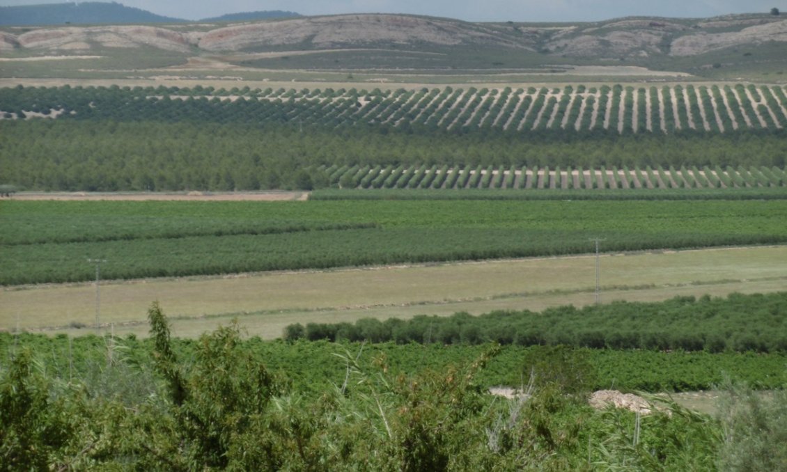 Segunda mano - Villa -
Yecla - Inland