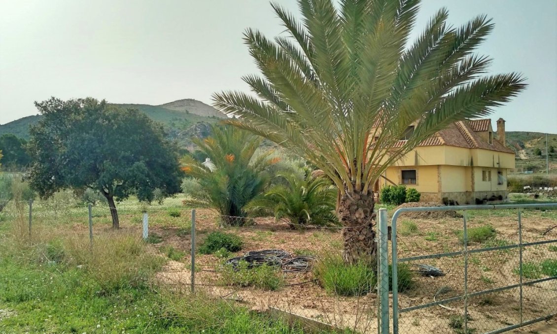 Segunda mano - Villa -
Aspe - Inland