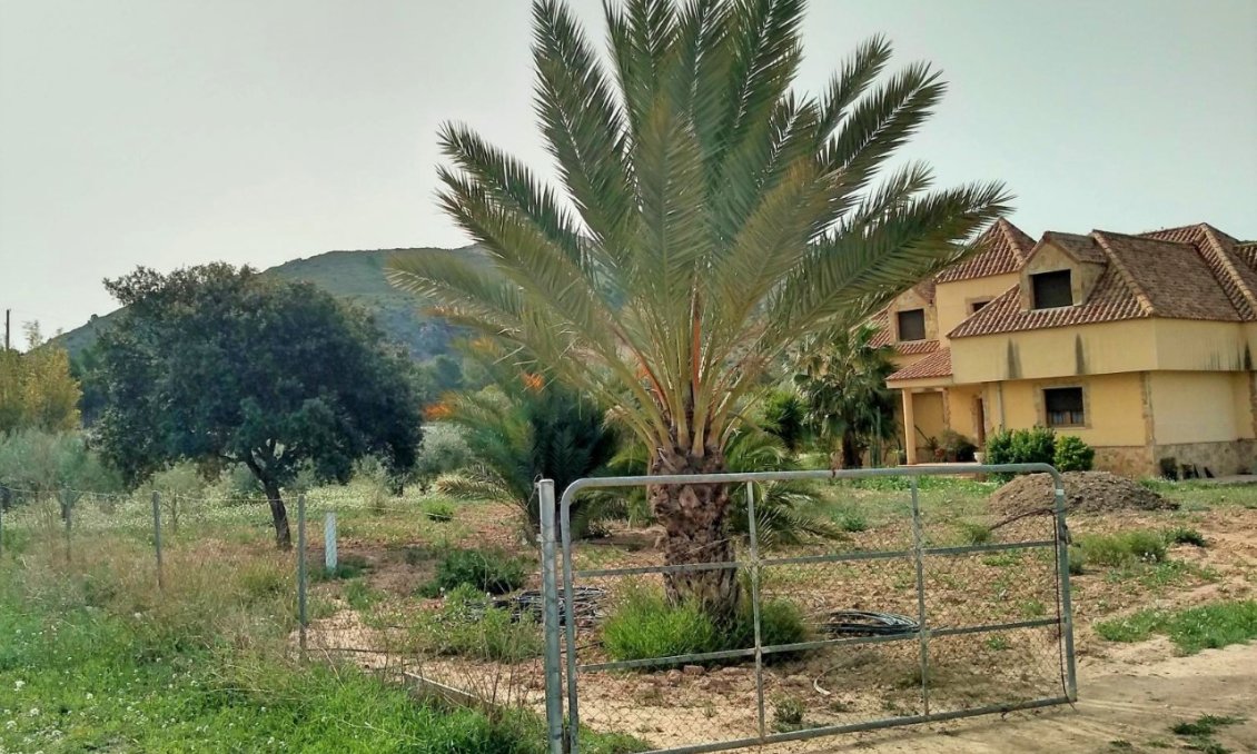 Segunda mano - Villa -
Aspe - Inland