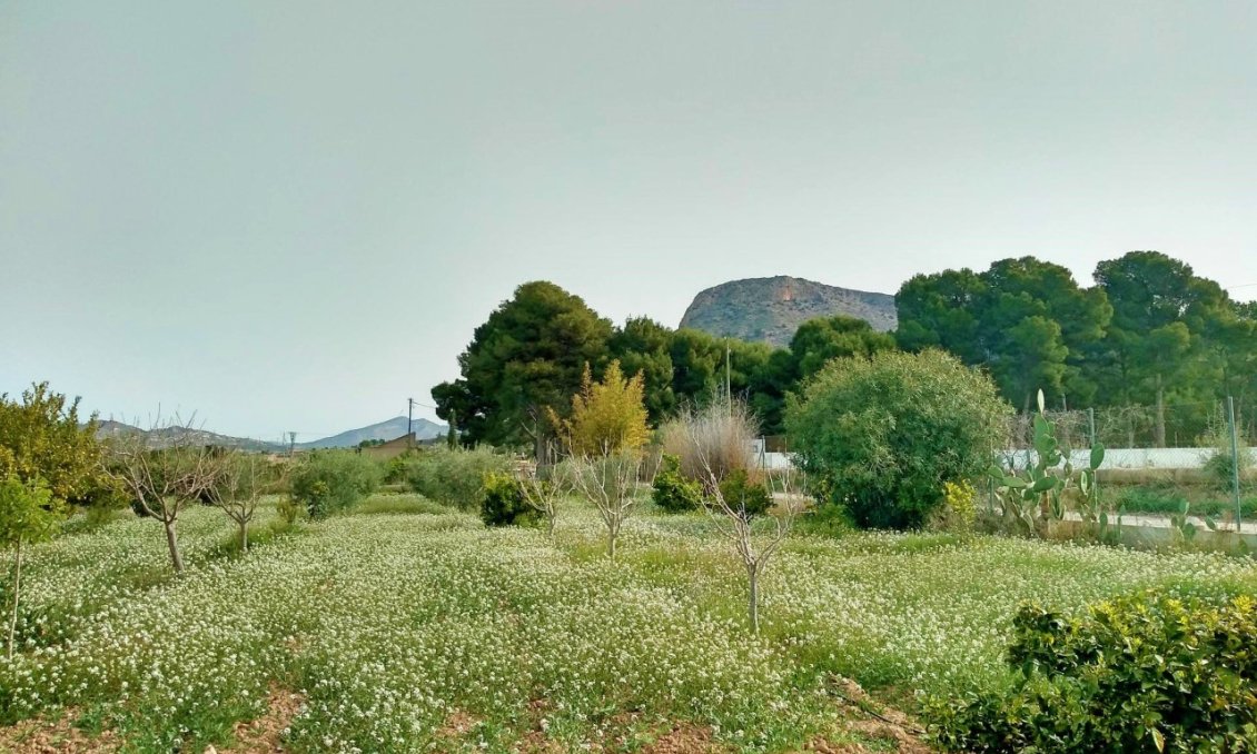Segunda mano - Villa -
Aspe - Inland