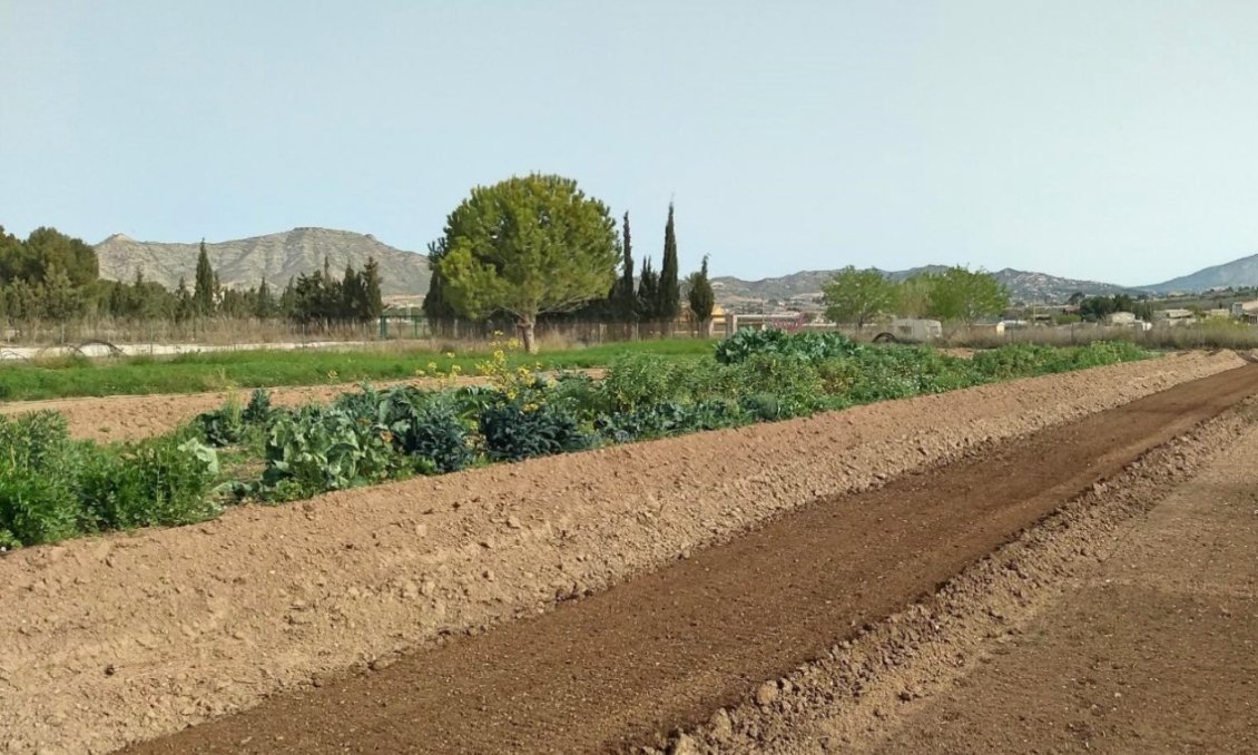 Segunda mano - Villa -
Aspe - Inland