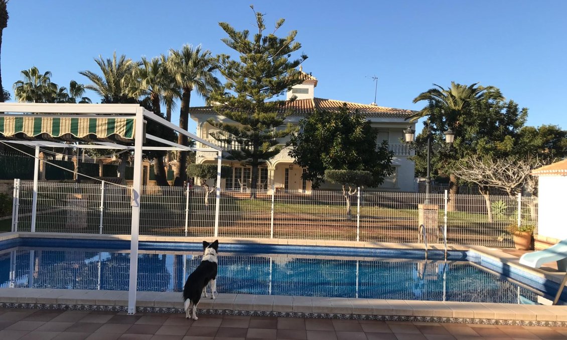 Segunda mano - Villa -
Cabo Roig - Costa Blanca