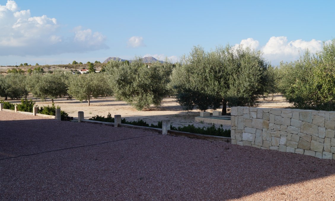 Segunda mano - Villa -
Monóvar/Monóver - Inland