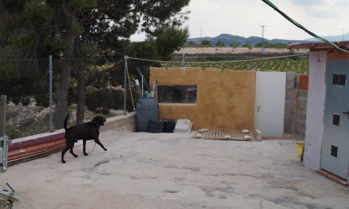 Segunda mano - Villa -
Monóvar/Monóver - Inland