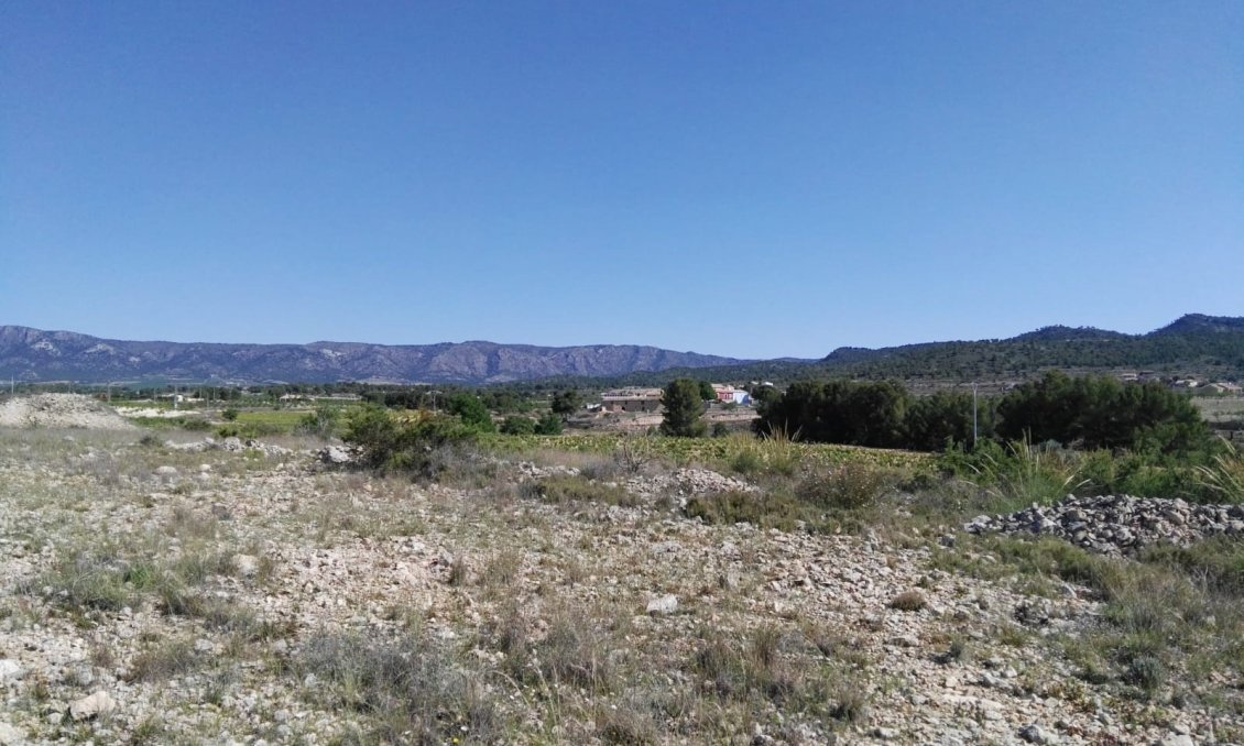 Segunda mano - Villa -
Monóvar/Monóver - Inland