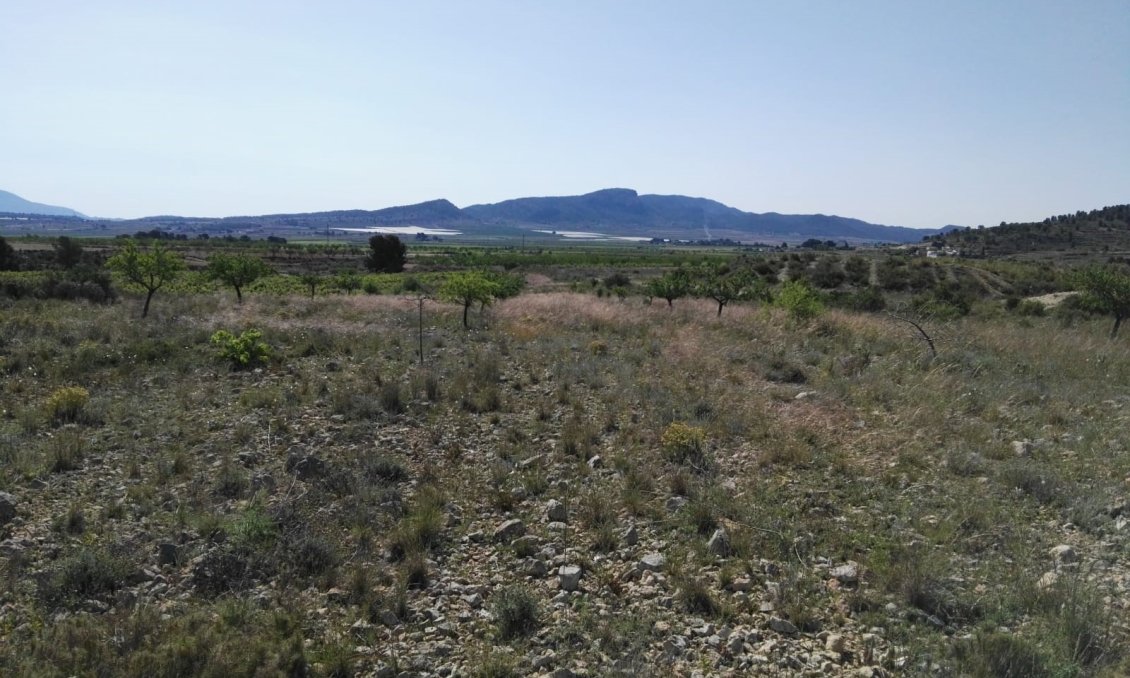 Segunda mano - Villa -
Monóvar/Monóver - Inland