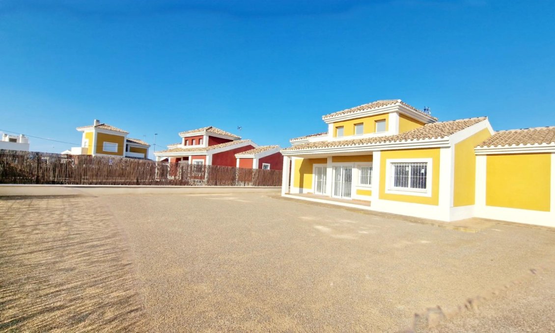 Obra nueva - Villa -
Lorca - Purias