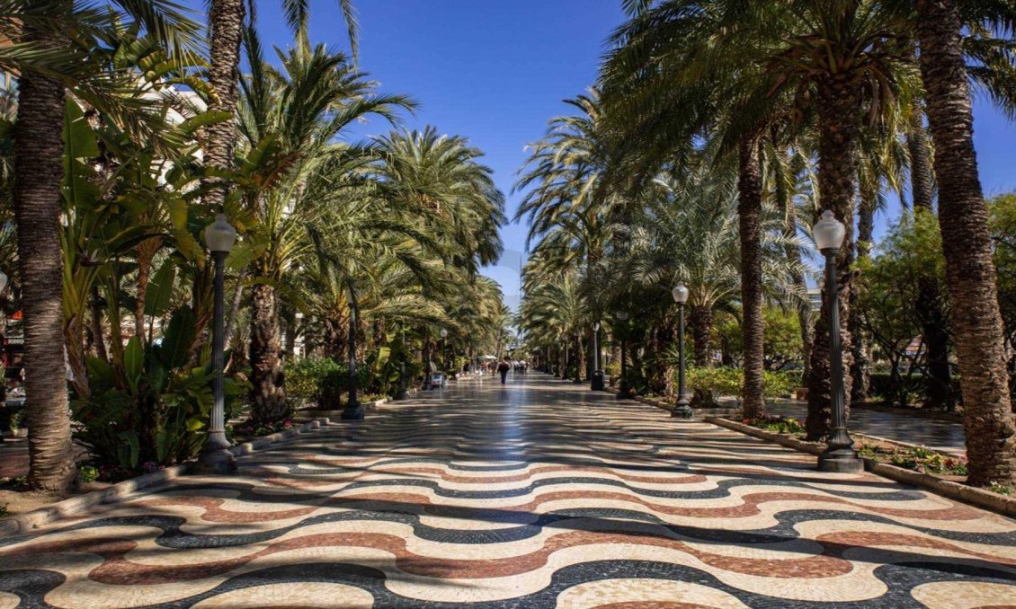 Construcție nouă - Mansardă -
Alicante - Centro