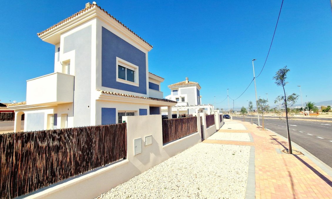 Obra nueva - Villa -
Lorca - Purias
