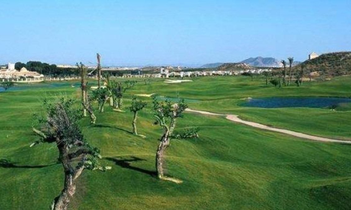 Obra nueva - Villa -
Sucina - Peraleja Golf