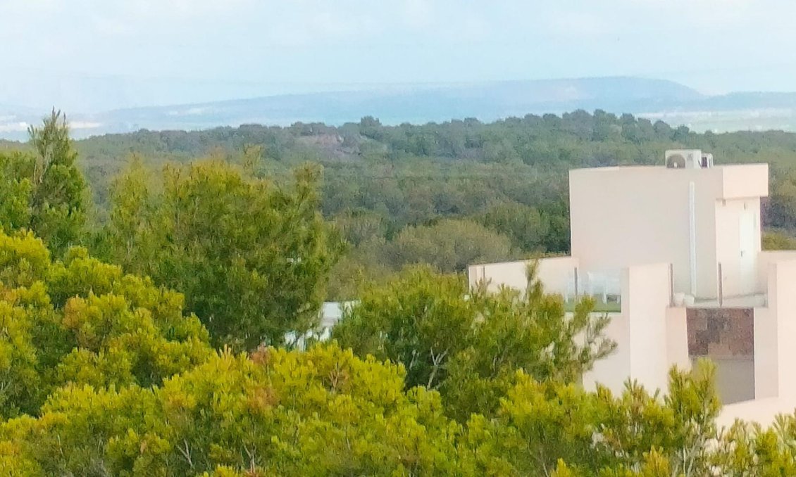 Obra nueva - Villa -
Orihuela Costa - PAU 26