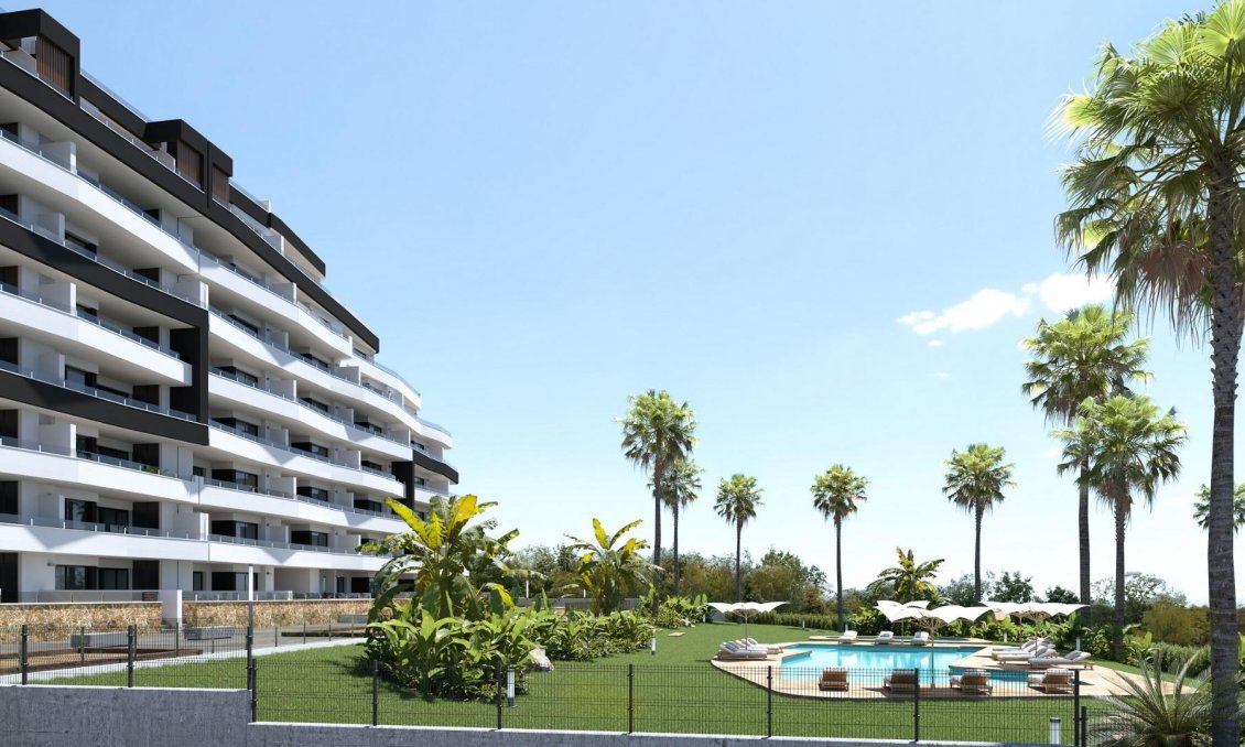 Nouvelle construction - Appartement -
San Miguel de Salinas - Pueblo