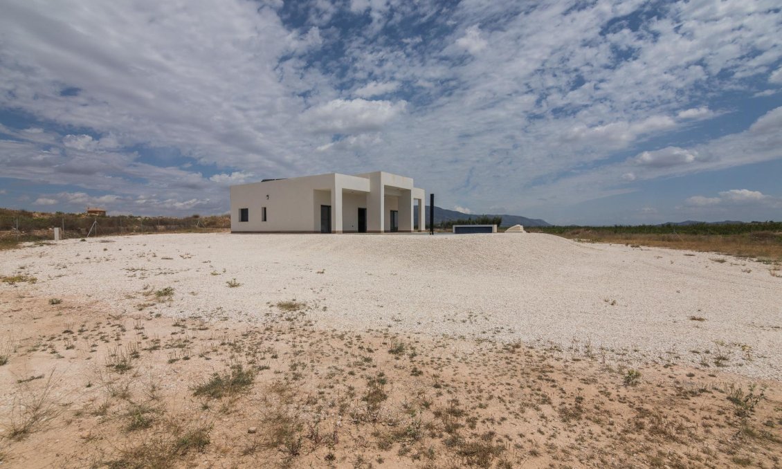 Obra nueva - Villa -
Pinoso - Lel