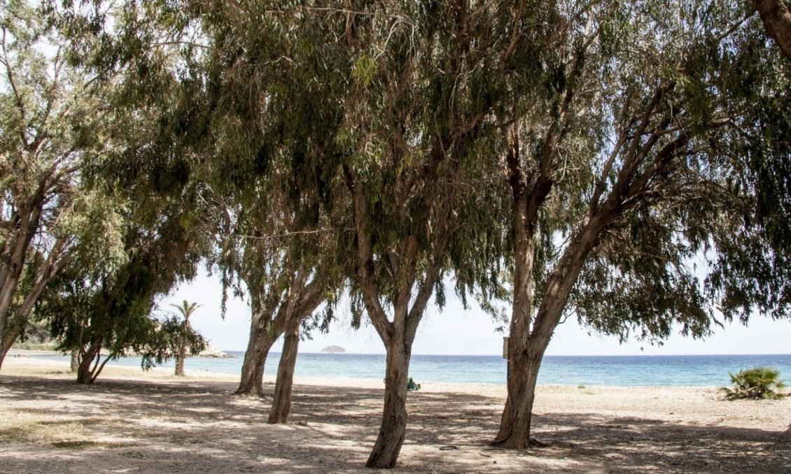 Neue Gebäude - Wohnung -
Villajoyosa - Playa Les Torres