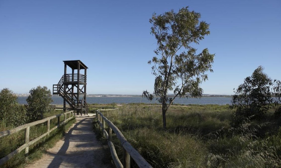 Obra nueva - Ático -
San Miguel de Salinas - Pueblo