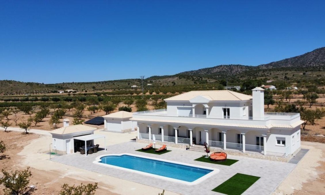 Obra nueva - Villa -
Pinoso - Camino Del Prado