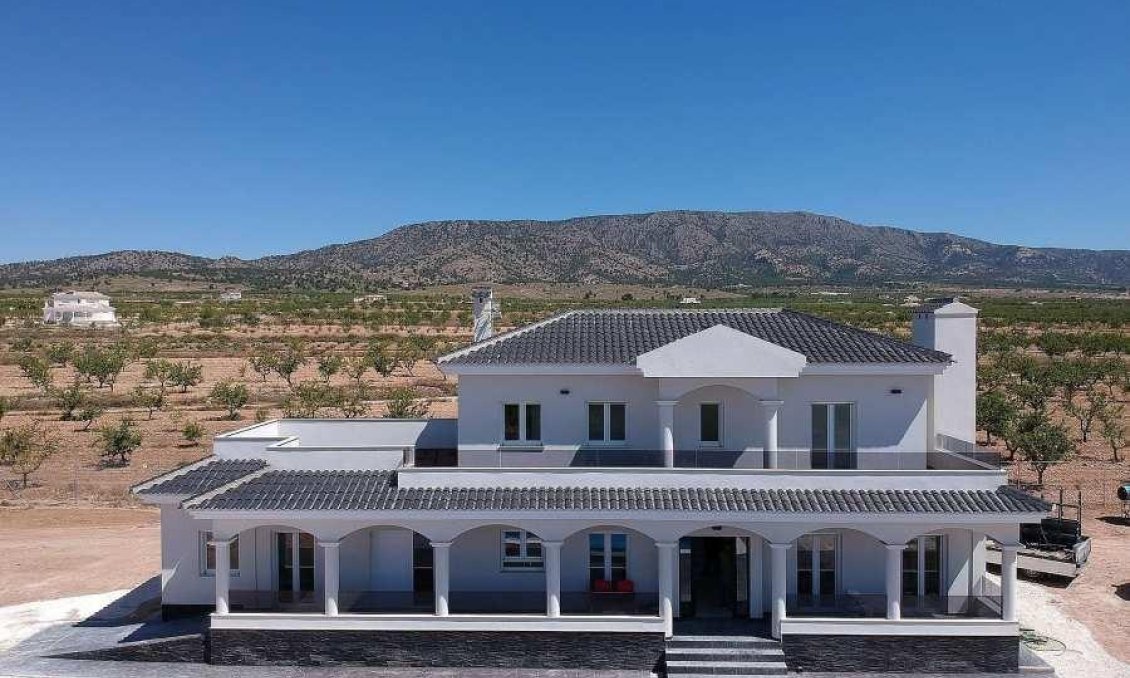 Obra nueva - Villa -
Pinoso - Camino Del Prado