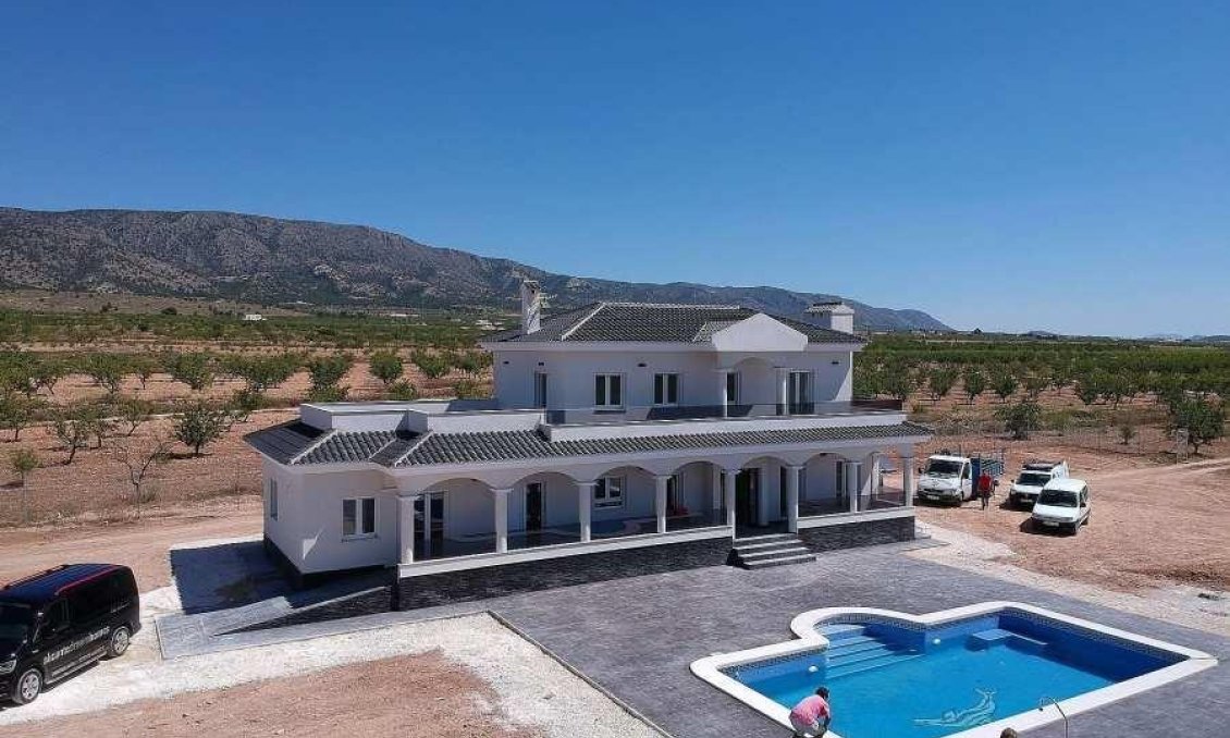 Obra nueva - Villa -
Pinoso - Camino Del Prado